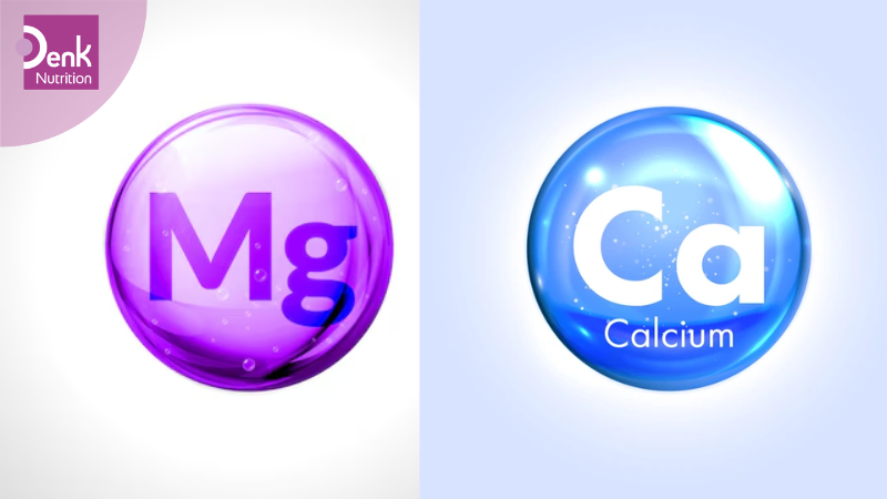 magie giúp hấp thu canxi