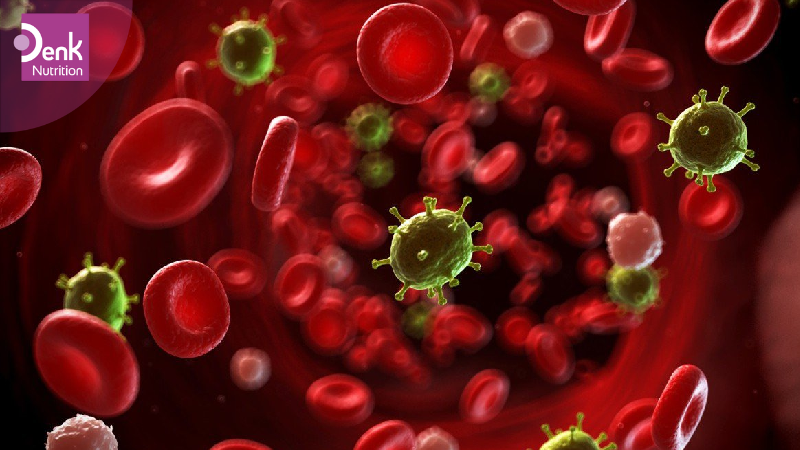 Tránh nguy cơ bị nhiễm ký sinh trùng sốt rét