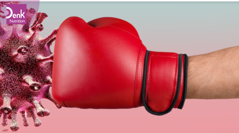 Hỗ trợ tăng cường miễn dịch