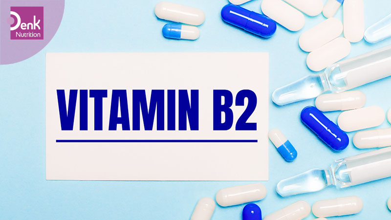Công dụng của vitamin B2 đối với sức khỏe