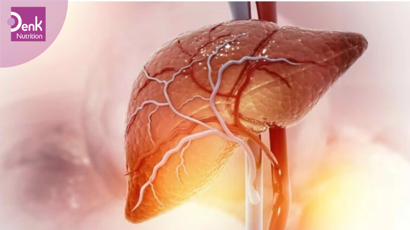 Giảm mỡ trong gan