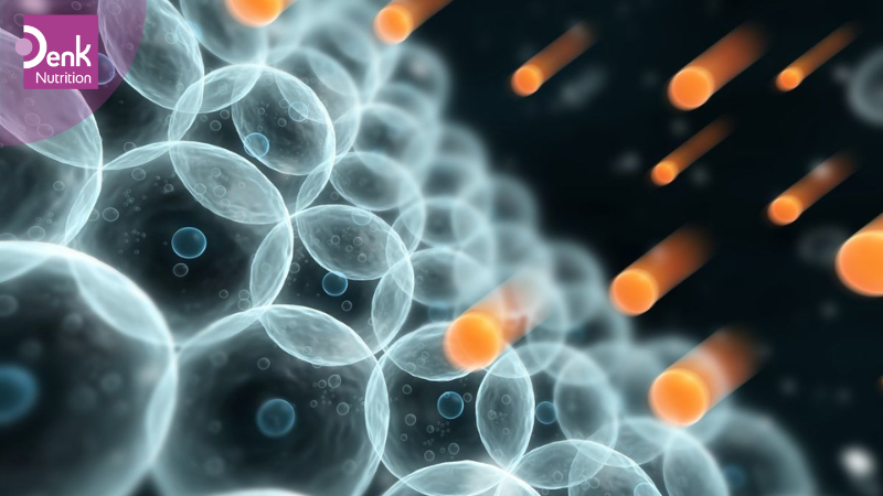 Chống lại tác hại của môi trường và các gốc tự do