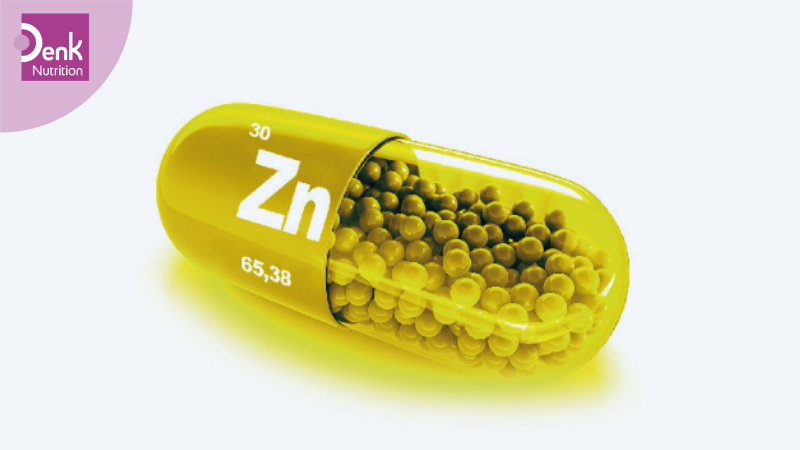Kẽm có tác dụng gì cho cơ thể