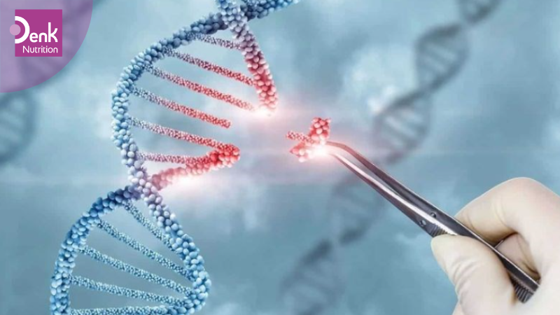 Hỗ trợ điều trị rối loạn di truyền