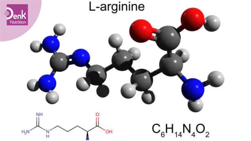 L-Arginine là gì?