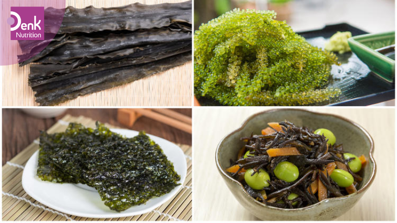 Rong biển và tảo biển