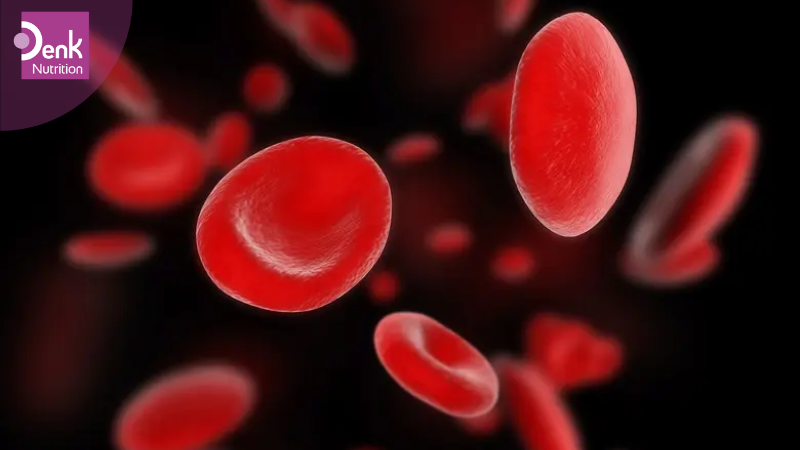 Thiếu máu ác tính