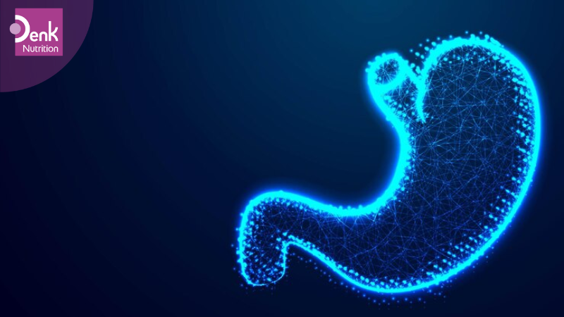 Phẫu thuật dạ dày có thể gây ra thiếu hụt vitamin B12