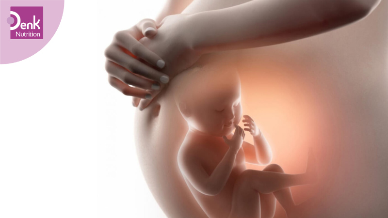 Tầm quan trọng của chế độ dinh dưỡng trong ba tháng đầu thai kỳ