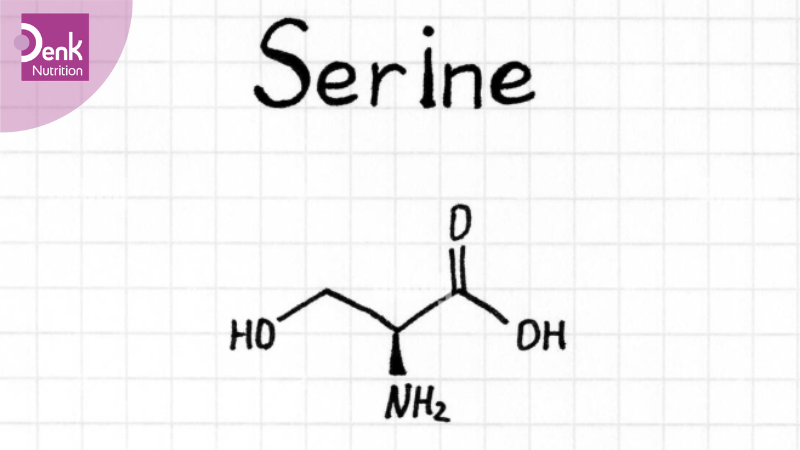 L-serine có trong thực phẩm nào