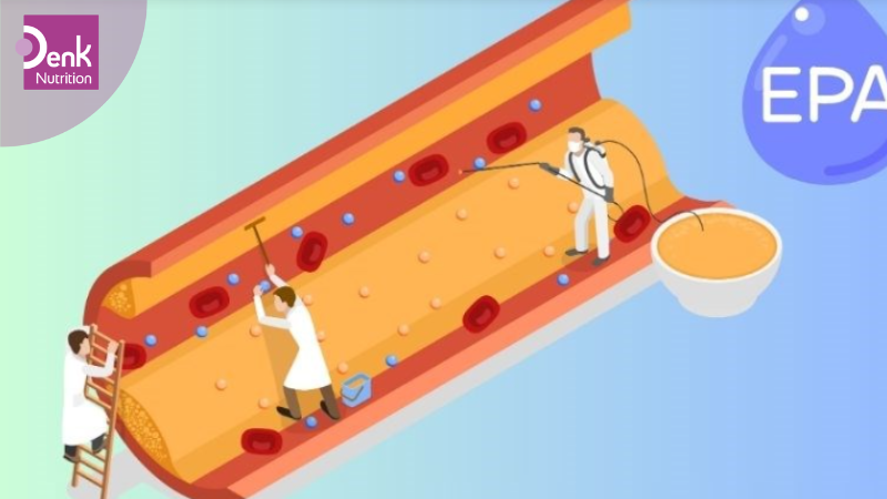 EPA làm giảm chất béo trung tính trong máu
