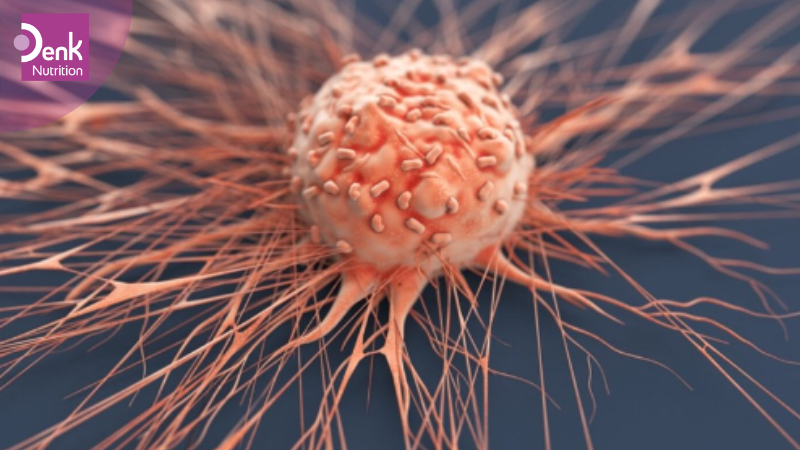 EPA hỗ trợ điều trị ung thư