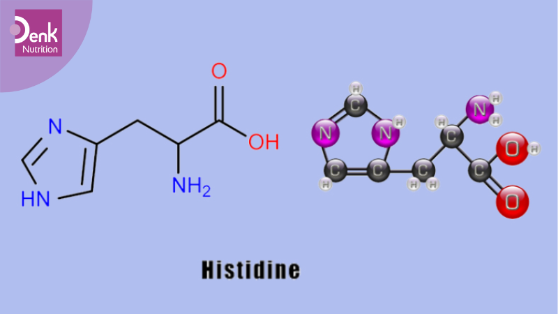Histidine là gì?