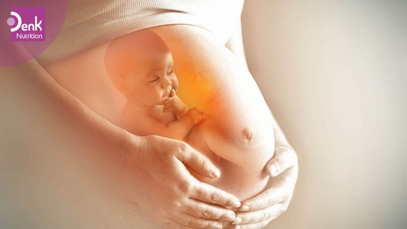 Tổng quan sự phát triển của thai nhi 3