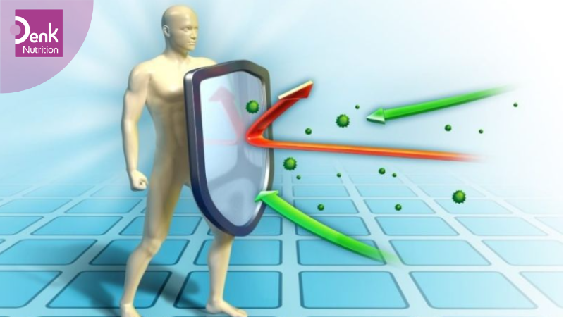 Tăng cường miễn dịch