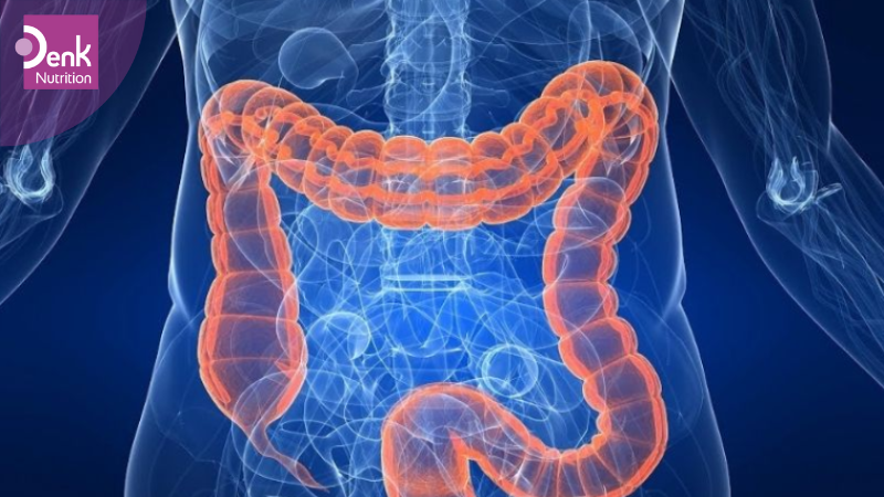 Tăng cường sức khỏe đường ruột