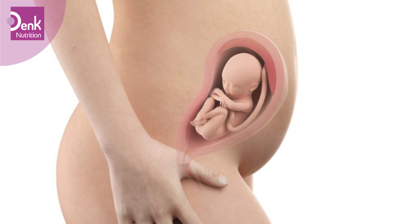 dấu hiệu thai phát triển tốt 3 tháng giữa