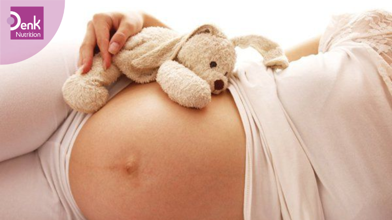 Tuần thứ 13: nước tiểu được hình thành