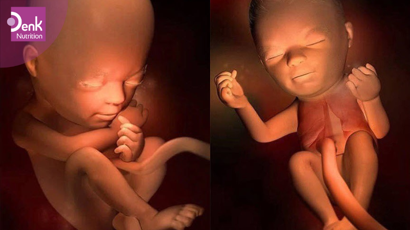 Tuần thứ 18: thai nhi bắt đầu có khả năng nghe