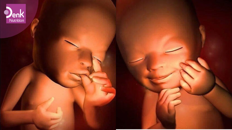 Tuần 21: thai nhi bắt đầu biết mút tay