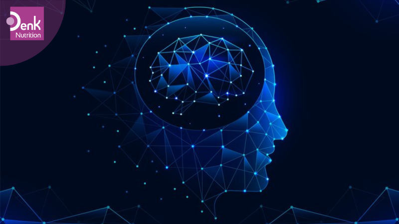 mức thiamine thấp thường xuyên có thể dẫn đến sự tích tụ protein trong não