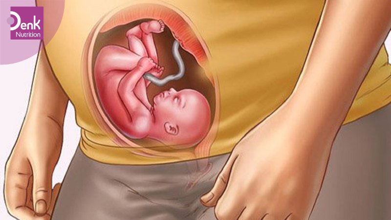 Tuần 24: da của thai nhi bắt đầu có những nếp nhăn