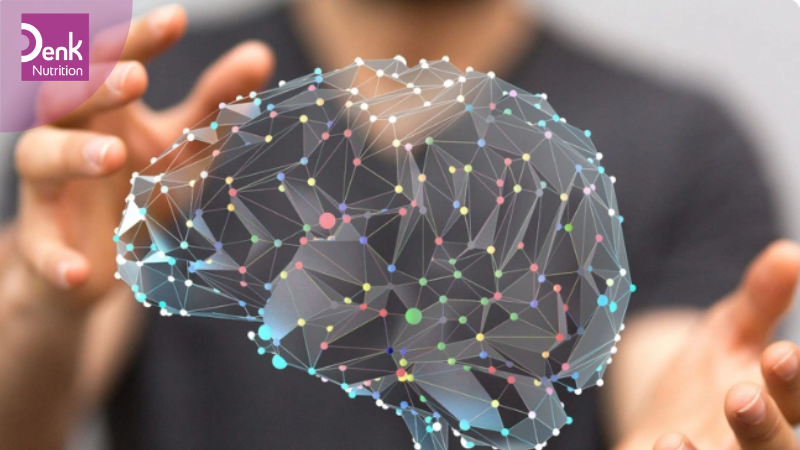 Hỗ trợ chức năng của não bộ