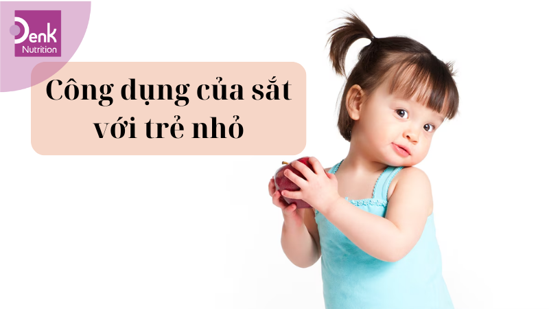 Sắt có công dụng gì cho trẻ nhỏ?
