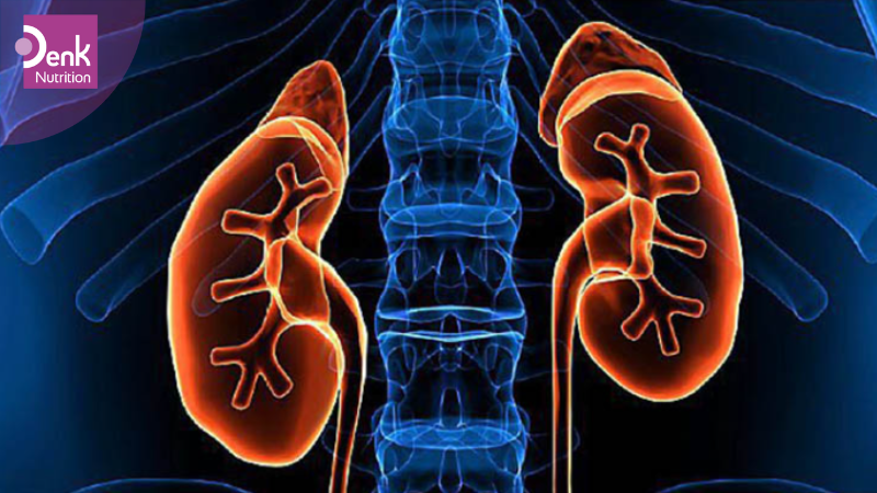 Viêm thận kẽ cấp tính