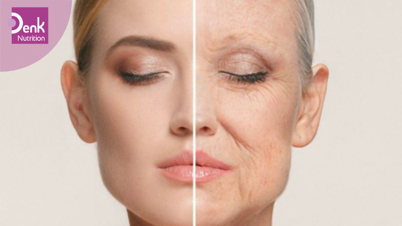 Duy trì đàn hồi làn da