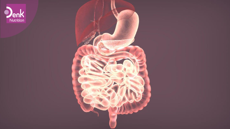 Triệu chứng trên hệ tiêu hoá