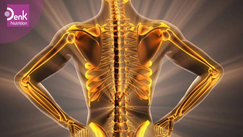 Hỗ trợ sức khỏe xương khớp