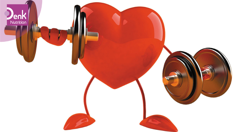 Hỗ trợ sức khỏe tim mạch