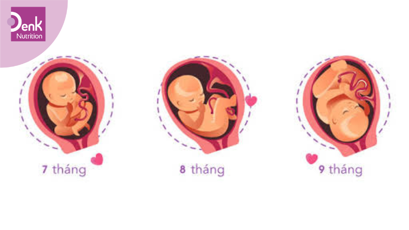 Vì sao cần chú trọng thực đơn trong 3 tháng cuối thai kỳ?