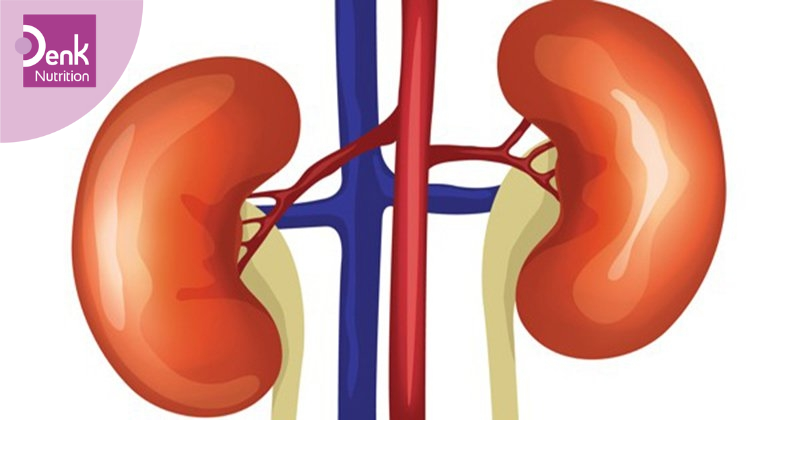 Mất kali tại thận