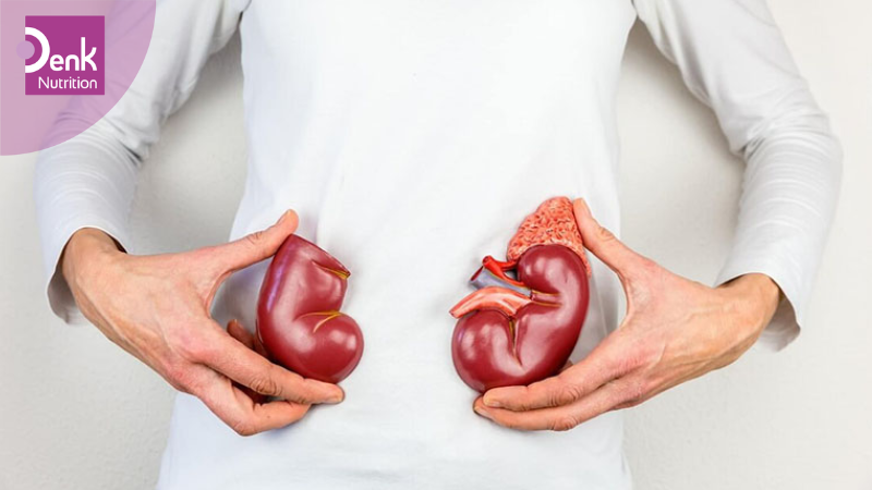 hạ kali máu kéo dài là do mất kali tại thận