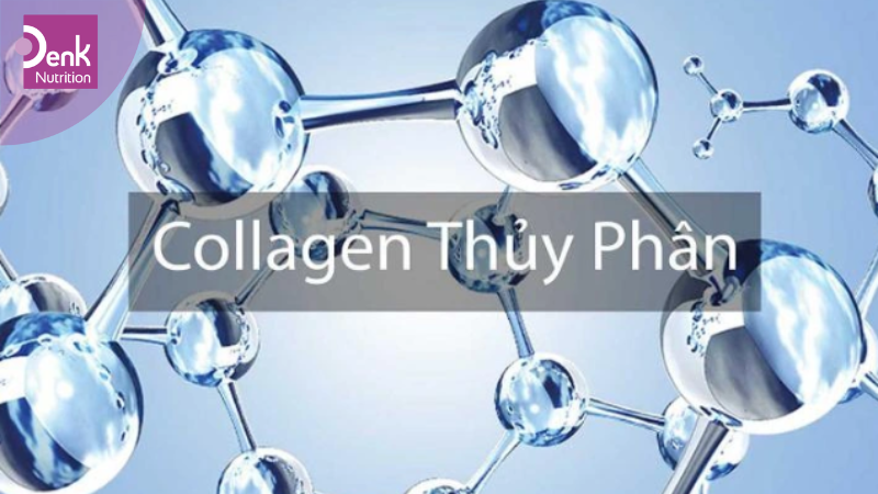 Collagen thủy phân là gì?