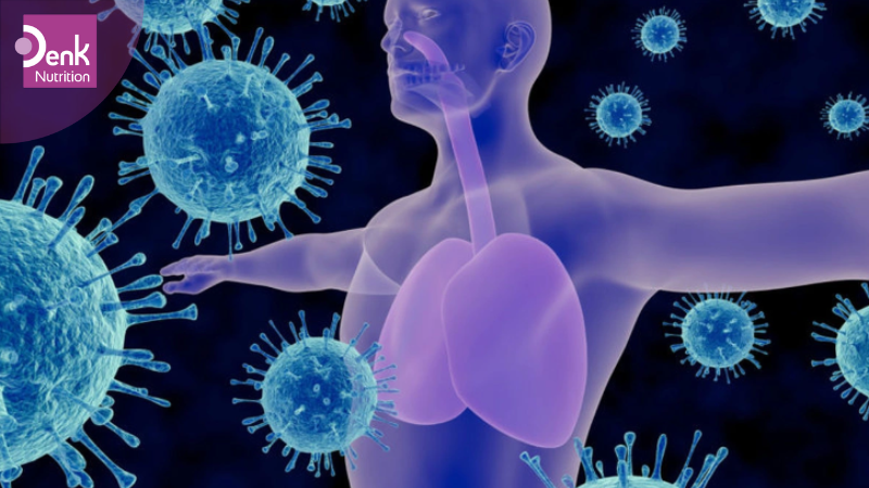 Hỗ trợ tăng cường hệ miễn dịch