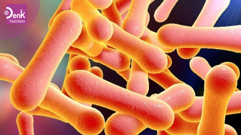 Nguyên nhân bệnh bạch hầu