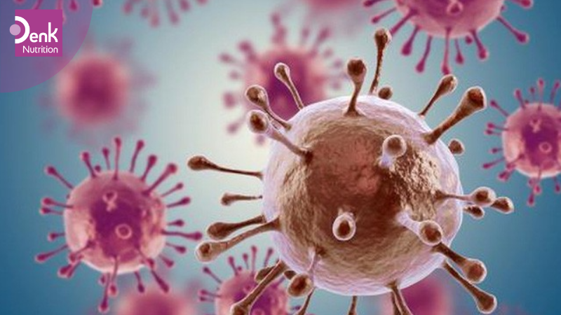 Phòng ngừa ung thư