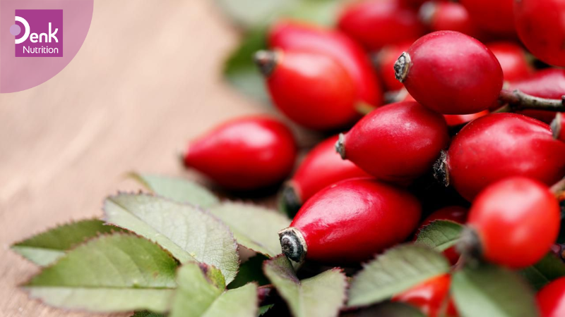 Quả tầm xuân là gì?