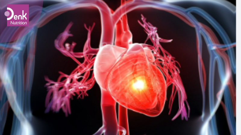 Hỗ trợ tim mạch