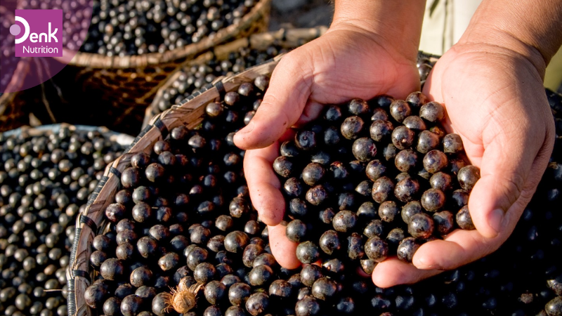 Acai berry là quả gì? (Nguồn gốc, hình dạng,...)