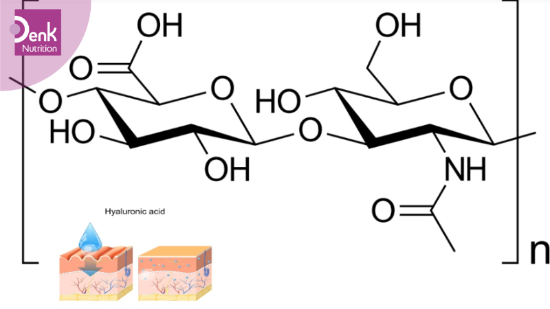 Hyaluronic Acid là gì?