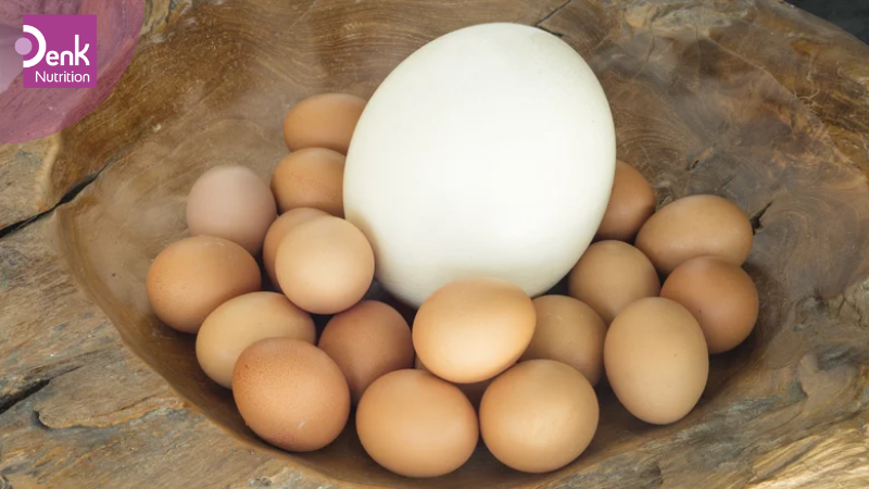 Trứng là thực phẩm giàu acid folic