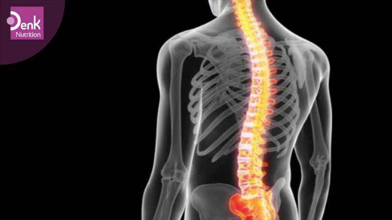 Duy trì sự bền vững của xương