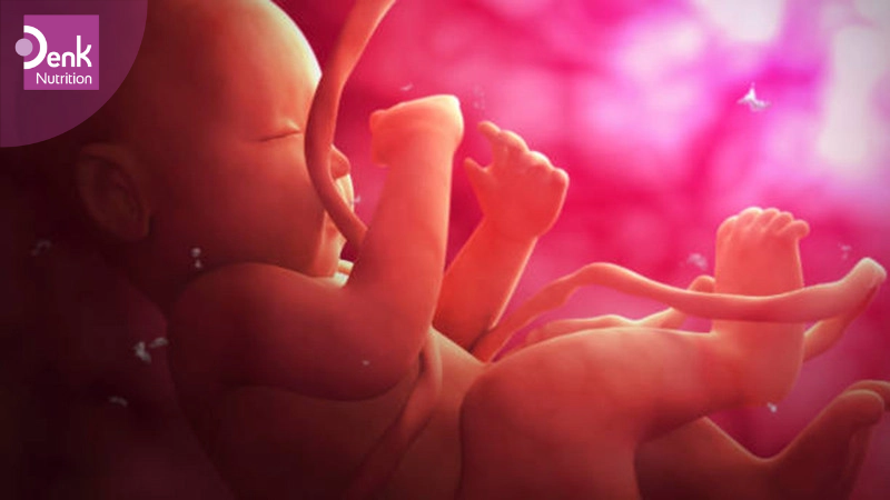 Đối với thai nhi