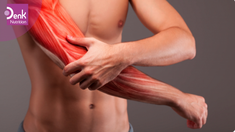 Giảm đau cơ do dùng thuốc statin gây ra