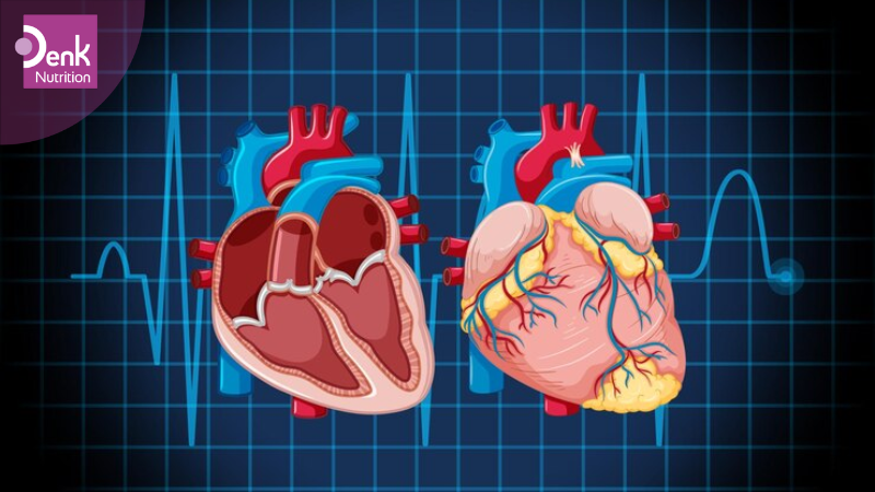 Có lợi cho tim mạch