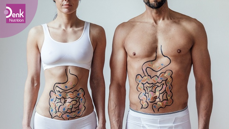 Hỗ trợ hệ tiêu hóa